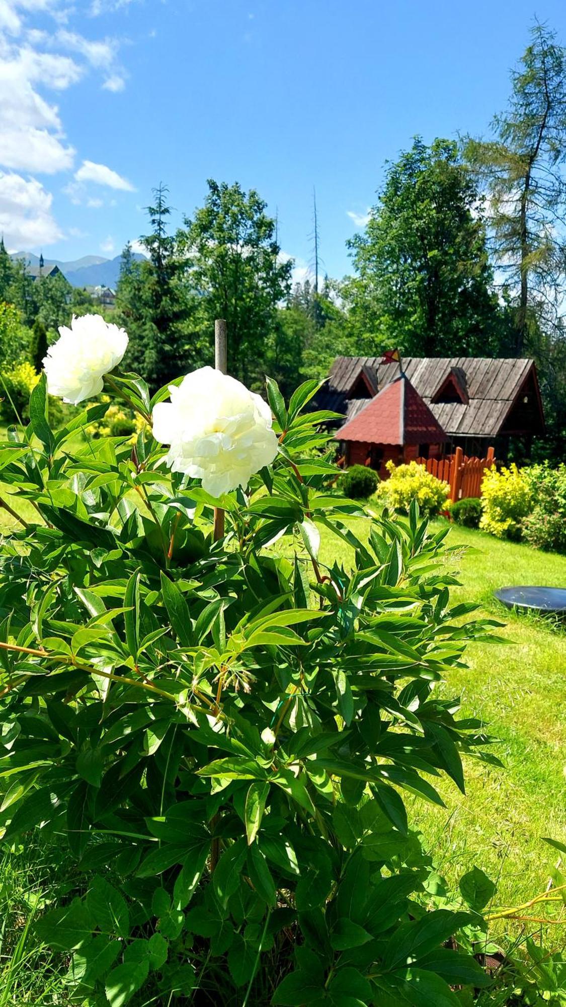 Willa Posrednia Zakopane Luaran gambar