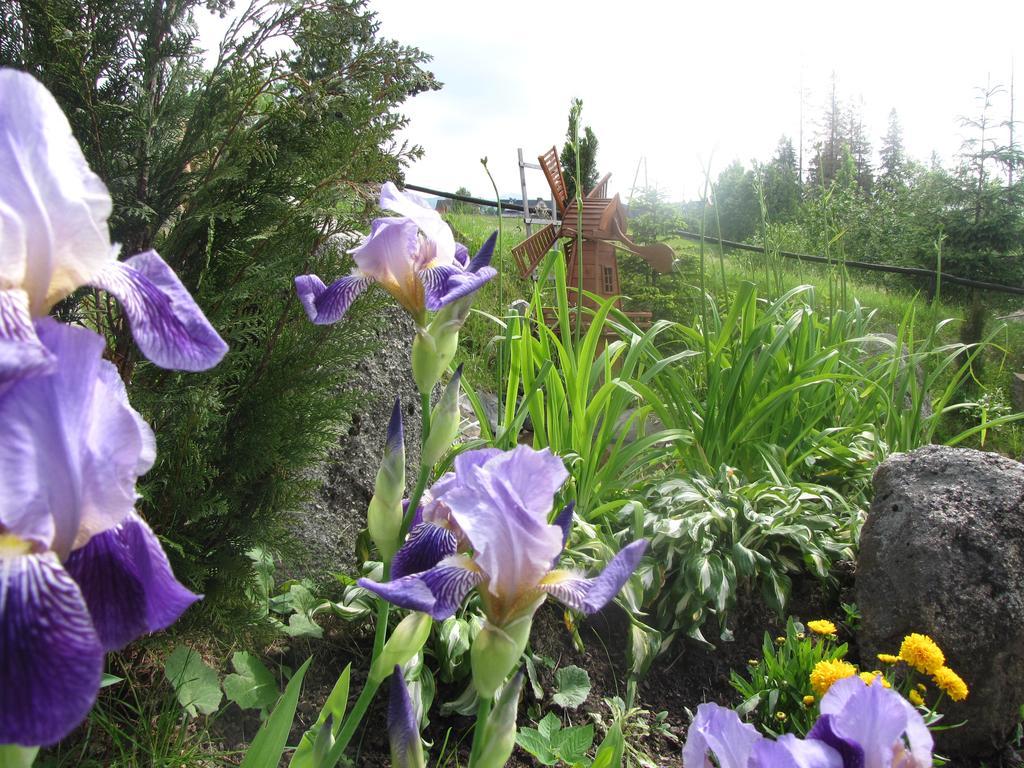 Willa Posrednia Zakopane Luaran gambar