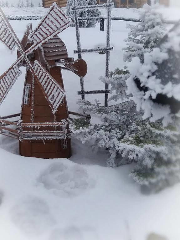 Willa Posrednia Zakopane Luaran gambar